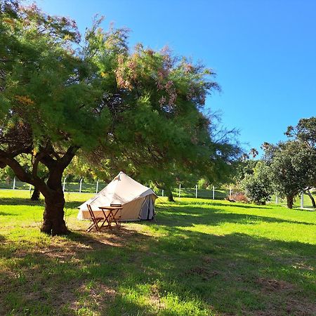 Bearsu Nature Almoxarife ออร์ตา ภายนอก รูปภาพ